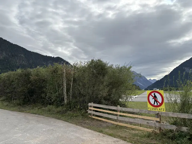 Der Bewuchs direkt beim Flugplatz wurde gestutzt. | Foto: MeinBezirk/Günther Reichel
