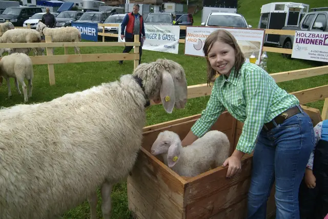 Die zehnjährige Anna ist bereits „Fachfrau“ der Schafzucht und präsentierte ihr Lamm Christoph und dessen Mama Sinda.