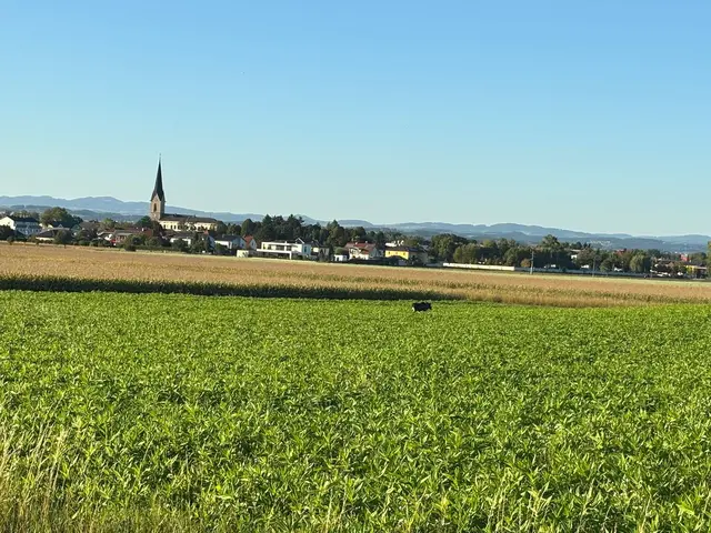 Foto: MeinBezirk/Eva Schaumberger