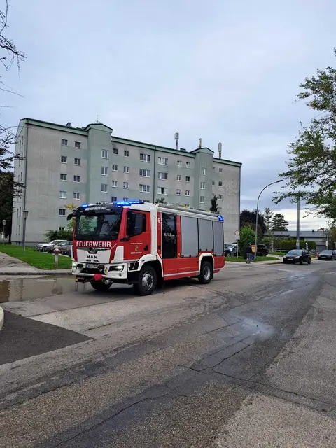 Foto: Winkler, W. Hoffmann