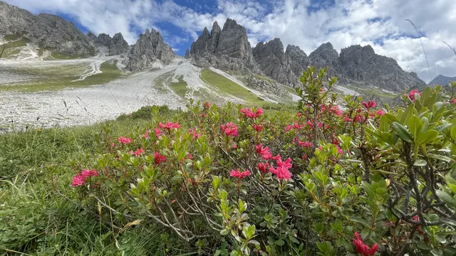 Das Senderstal besticht durch den Kontrast aus Blumenwiese und schroffen Gipfeln.  | Foto: Heidi Kastl
