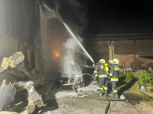 Foto: Bfkdo Amstetten / FF Kollmitzberg