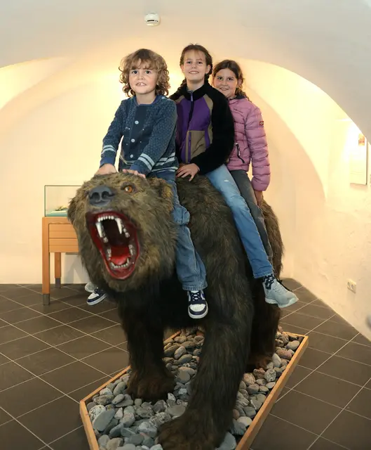 Im Museum in St. Johann kann man sich auf eine Bärenjagd begeben. | Foto: Museum St. Johann