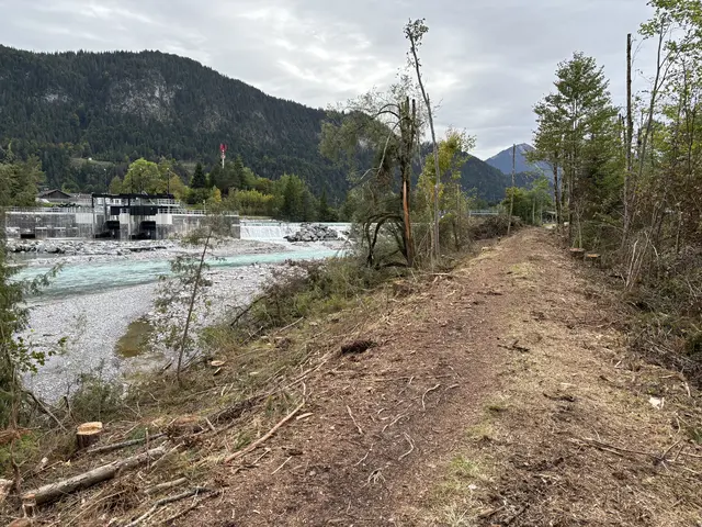 Die betroffene Fläche befindet sich nahe der Kraftwerksanlage zwischen Höfen und Ehenbichl. | Foto: MeinBezirk/Günther Reichel