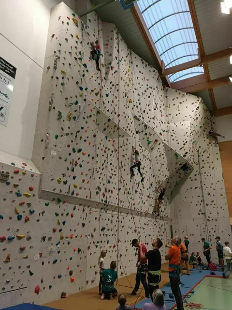 Indoor-Klettern in der Dreifachsporthalle Enns. | Foto: Alpenverein Enns