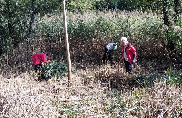 Foto: Berg- und Naturwacht Leibnitz