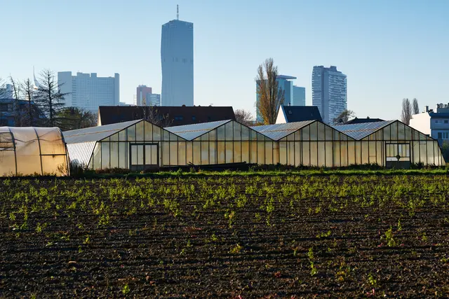 Während die Industrie vor allem positive Effekte durch das Mercosur-Abkommen erwarten darf, sin die Auswirkungen auf die Landwirtschaft eher getrübt. | Foto: Robert Kalb / picturedesk.com
