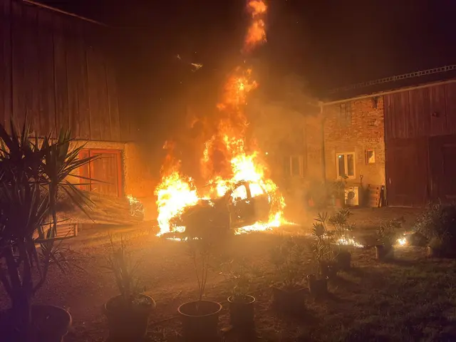 Foto: Bfkdo Amstetten / FF Kollmitzberg