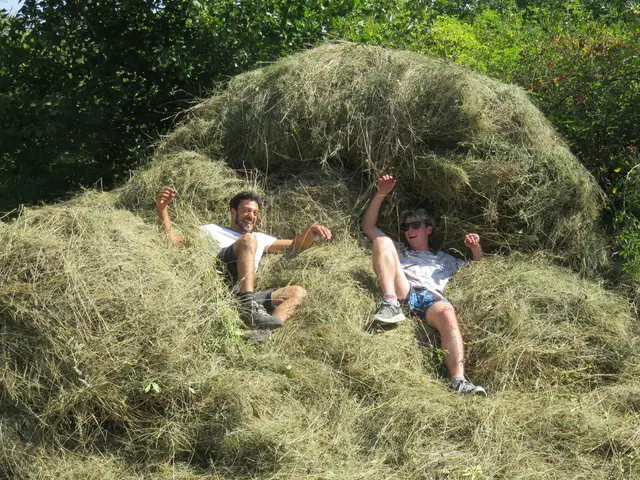 Im vorher zusammengerechten Heuhaufen am Bockstallberg. | Foto: Melina Maier