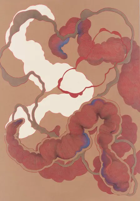 Róbert Gábriš: „Anatomical Study 3“, 2023 (Buntstifte auf Papier; 100 x 70cm) | Foto: Róbert Gábriš