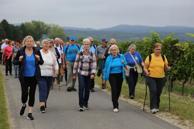 Über 200 Teilnehmer:innen genossen beim PVÖ Bezirkswandertag in Horitschon Natur, Bewegung und Gemeinschaft. | Foto: Franz Seckel