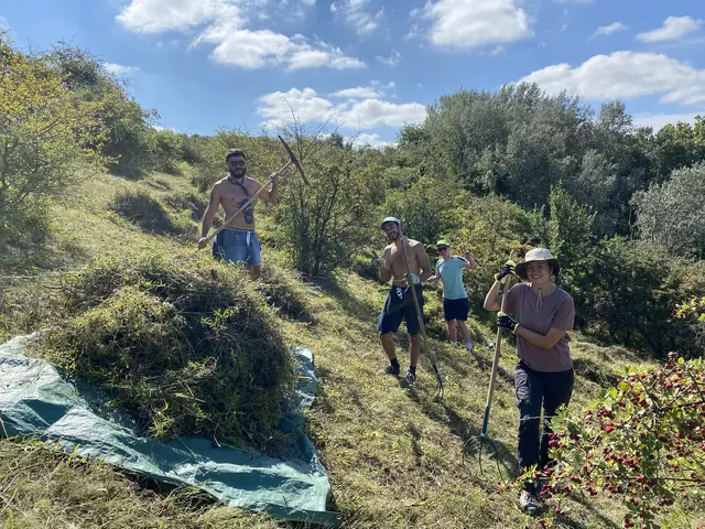 Rechen am Dernberg. | Foto: Melina Maier