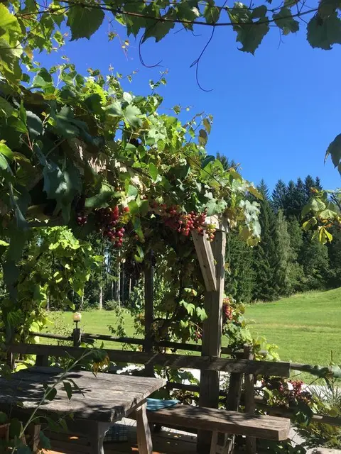 "An jedem neuen Tag dürstet der Mensch nach Sonnenstrahlen; sie sind die Boten des Glücks und der Nährstoff des Lebens!"  (aus dem Internet)