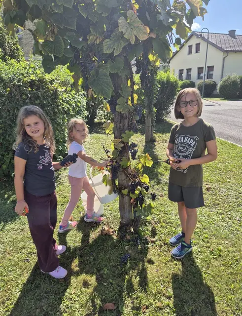 Foto: Gemeinde Hannersdorf