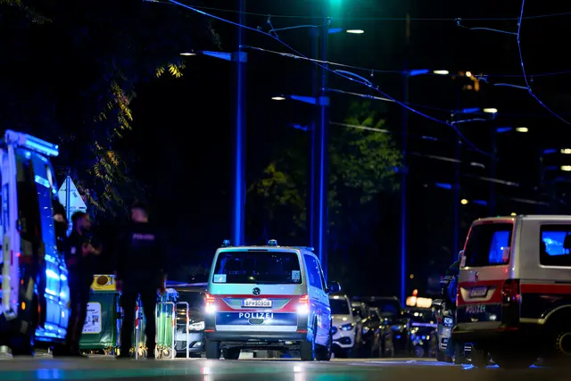 Foto: MAX SLOVENCIK / APA / picturedesk.com