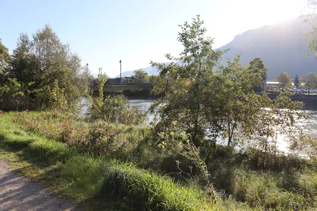 Foto: Christiane Nimpf