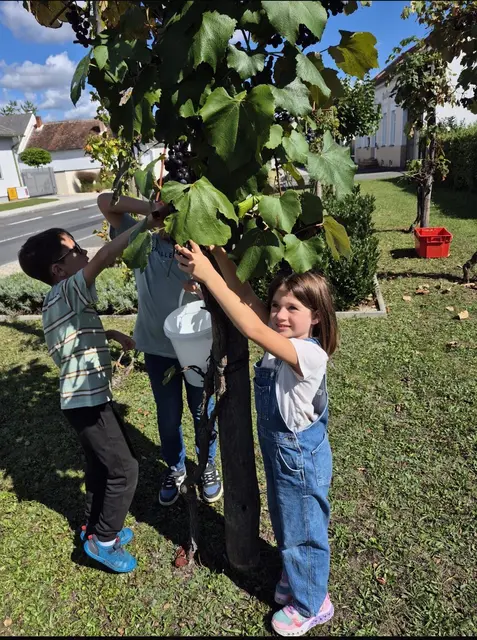 Foto: Gemeinde Hannersdorf