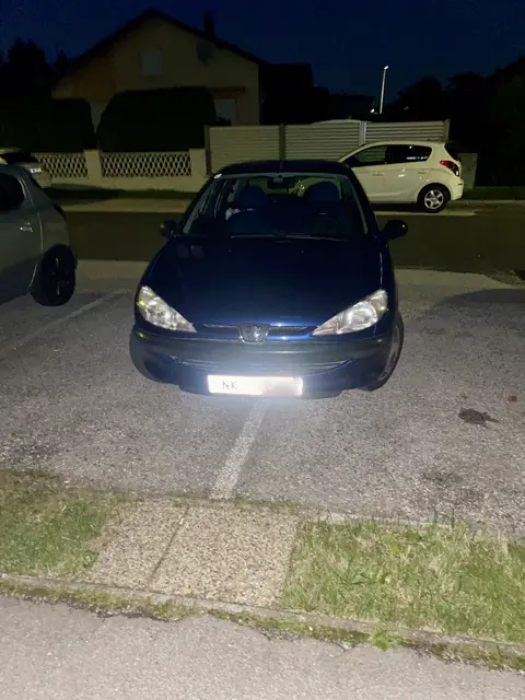 Der Kunstparker im Peugeot sorgte für Unmut. | Foto: Karin Haiden