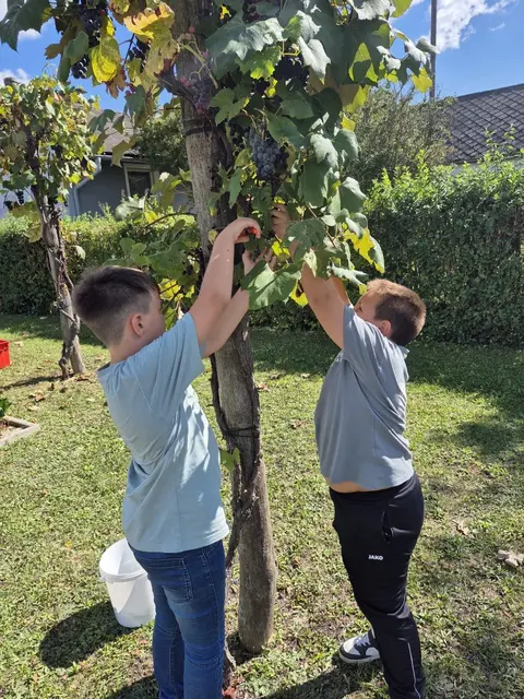 Foto: Gemeinde Hannersdorf