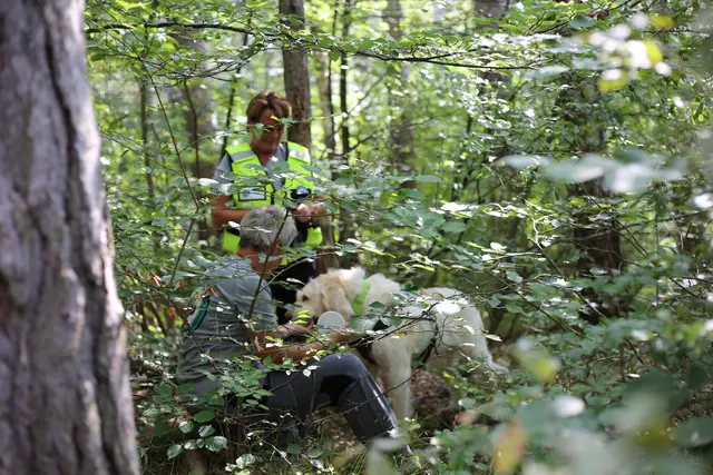 Suchhunde können vermisste Person erfolgreich erschnüffeln (Symbolbild) | Foto: suchhund.eu