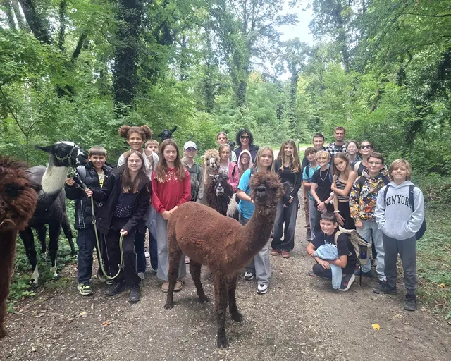 2a | Foto: NÖMS St. Andrä-Wördern
