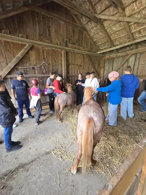 2b | Foto: NÖMS St. Andrä-Wördern