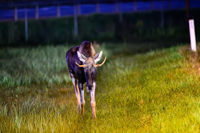 Foto: TEAM FOTOKERSCHI / BERNADETTE UND WERNER KERSCHBAUMMAYR