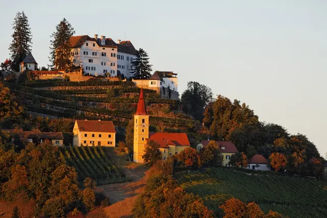 Das Weingut Winkler-Hermaden auf Schloss Kapfenstein | Foto: Roman Schmidt