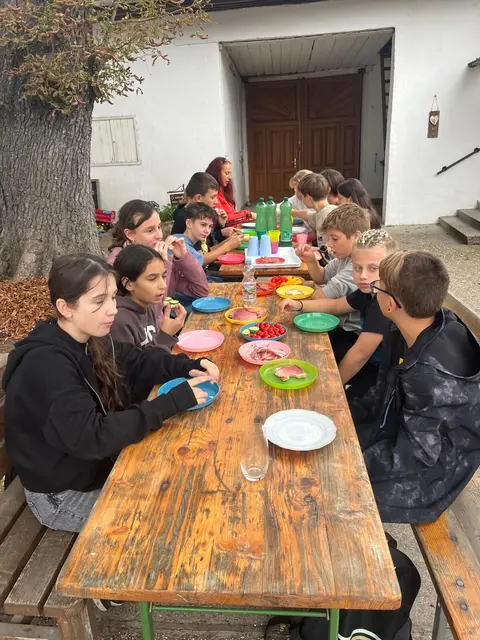 2c | Foto: NÖMS St. Andrä-Wördern