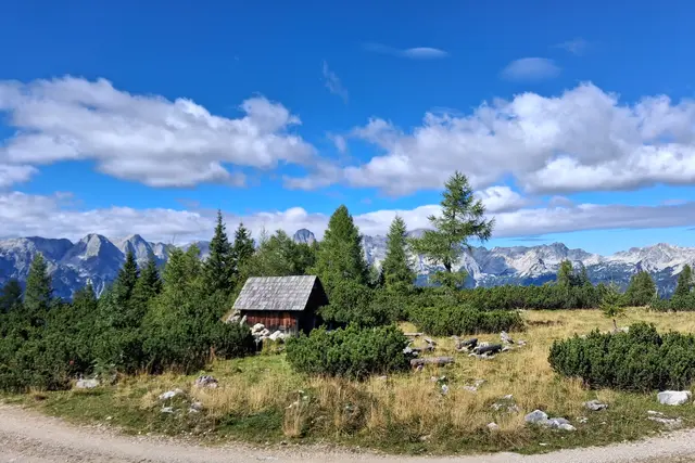 Die kleine BERGKAPELLE
 beim Schafkogelsee erbaut 2002
von Schweitzer Albert
und Jansenberger Heinrich
