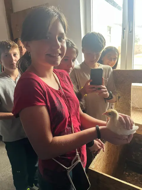 Foto: NÖMS St. Andrä-Wördern