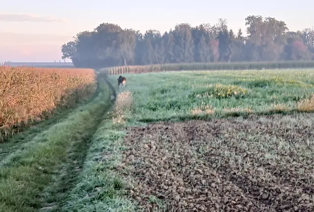 Foto: ZVG
