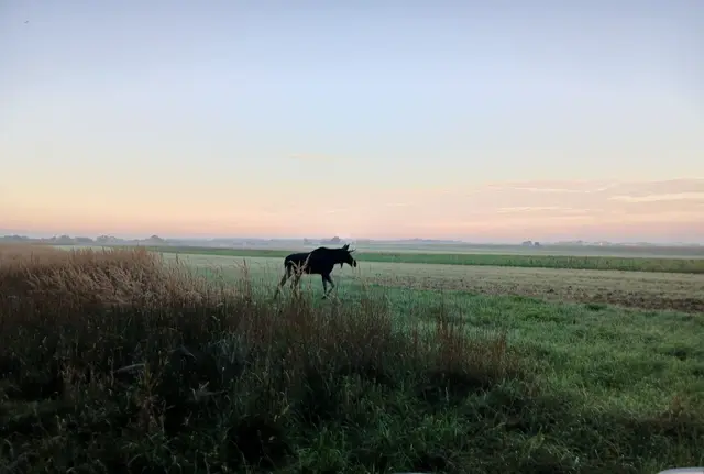 Foto: ZVG