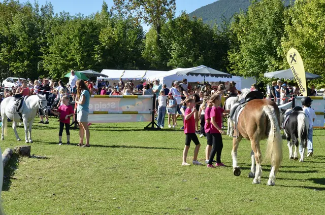 Foto: Elisabeth Peinsipp