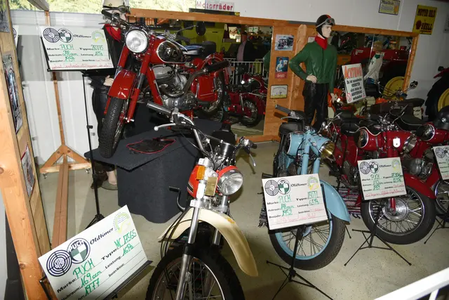 Foto: Gerald Dreisieber