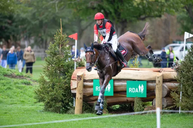 Harald Ambros bei der EM. | Foto: Eventing Austria