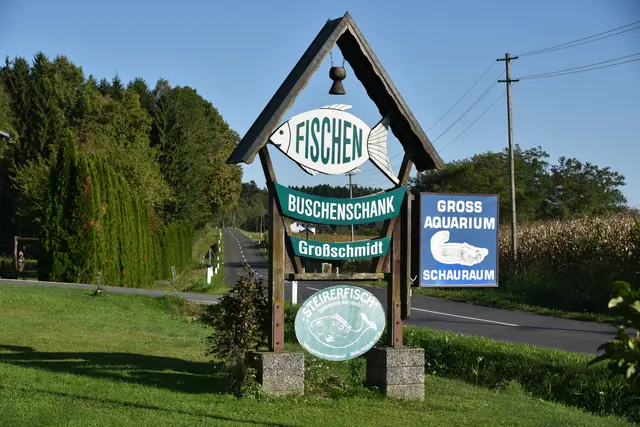 Foto: Gerald Dreisieber