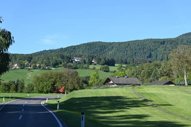 Straße Richtung Bürg