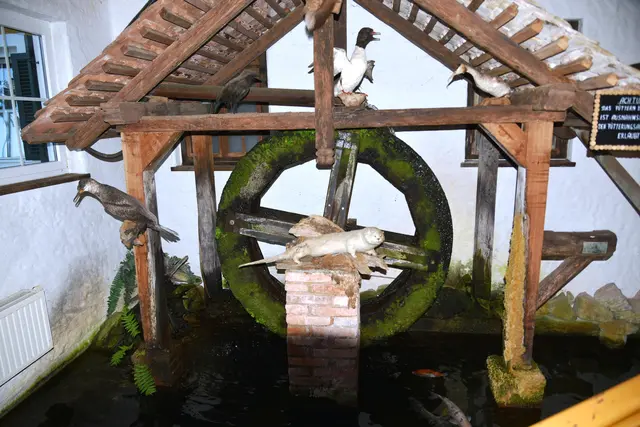 Foto: Gerald Dreisieber