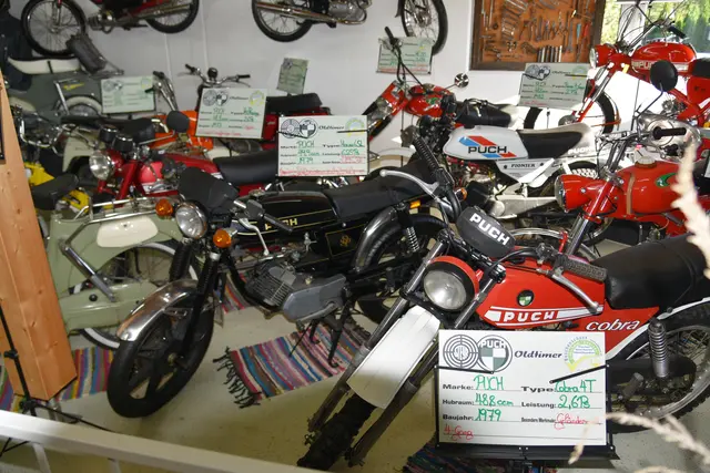 Foto: Gerald Dreisieber