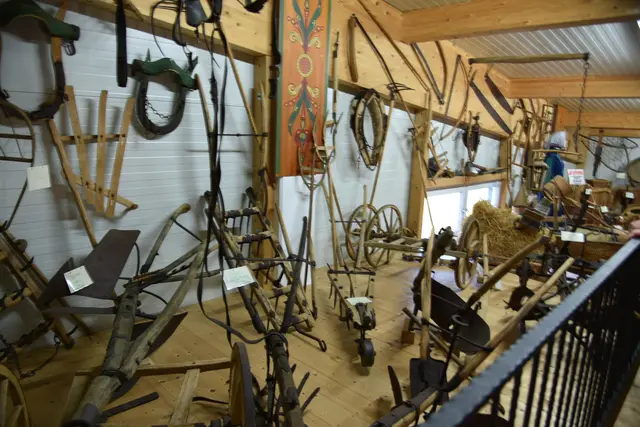 Foto: Gerald Dreisieber