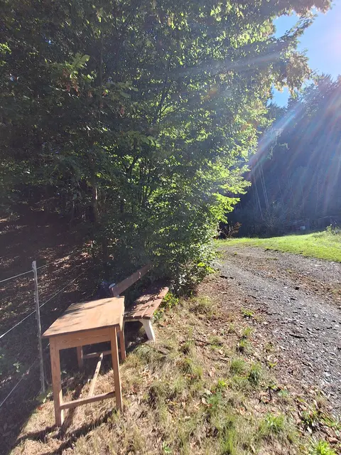 So ein nettes Platzerl am Weg | Foto: Gold Michaela