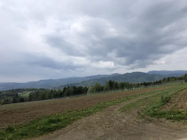 Ab Dienstag zieht es auch in der Steiermark zu, die Temperaturen gehen um zehn Grad zurück. | Foto: MeinBezirk/Simon Michl