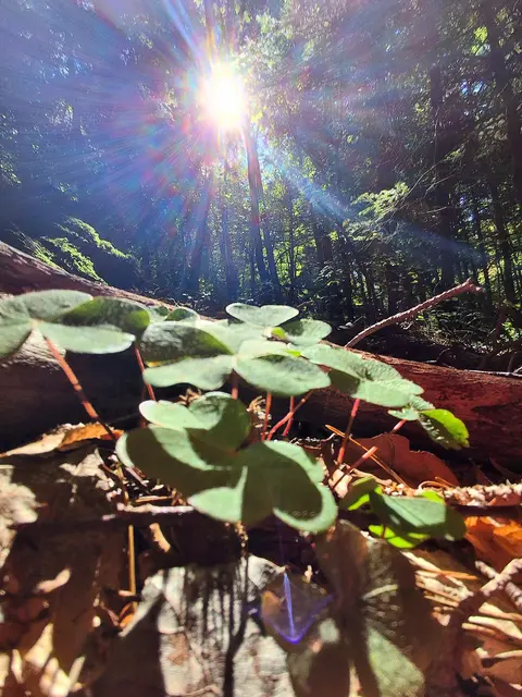 Die Sonne stand grad richtig für die schönen Fotomöglichkeiten | Foto: Gold Michaela