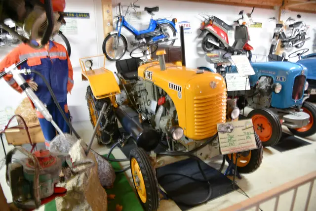 Foto: Gerald Dreisieber