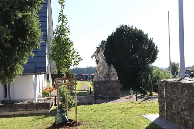 Der Ahorn wacht in der Nähe von Kriegerdenkmal und Heldenglocke | Foto: Gerhard Langmann