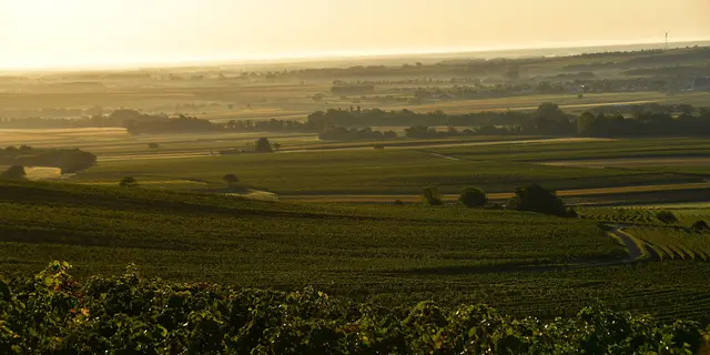 Mit den heißen Temperaturen ist es vorbei, es wird kühler im Burgenland.  | Foto: Hermann Sauer