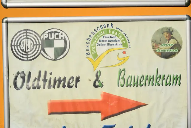 Foto: Gerald Dreisieber