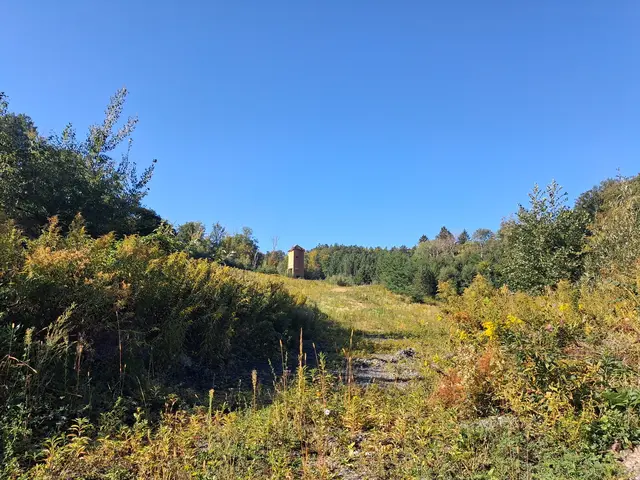 Der einsame Turm am ehemaligen Bergwerksgelände | Foto: Gold Michaela