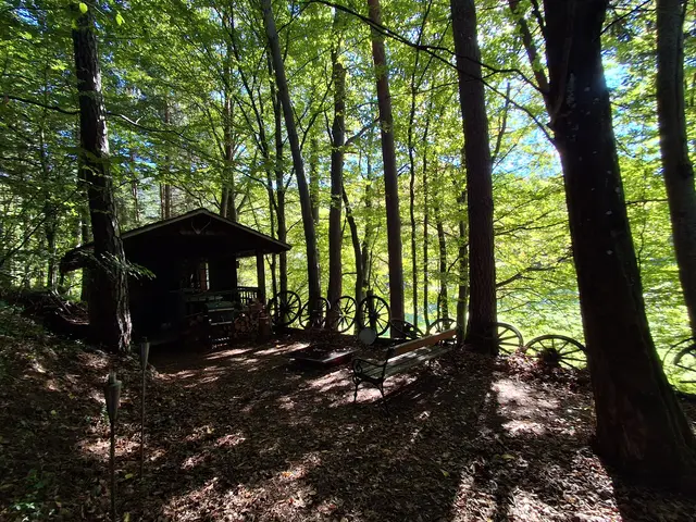 An die Hütte konnte ich mich noch gut erinnern, dachte schon, das es sie nicht mehr gibt, weil ich nach meiner Erinnerung schon schneller bei ihr sein sollte. So kann man sich täuschen. Auch ein so schöner Platz | Foto: Gold Michaela